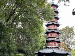 -上海佘山国家森林公园西佘山园