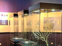 -同济大学四平路校区深海探索馆