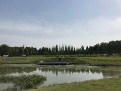 -两河城市森林公园