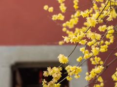 -钱王祠