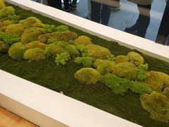 -喜茶(永旺梦乐城店)