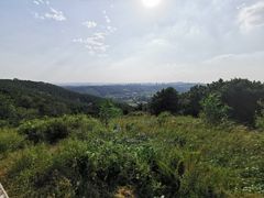 -高尔山公园