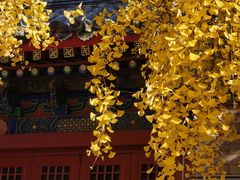 -承恩寺