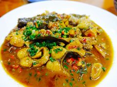 -全乐鱼馆·淳牌有机鱼直营店