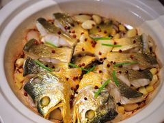-新光酒家·河豚·海鲜·蟹料理(浦东店)