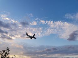 -小蜜蜂农场(凯德七宝购物广场店)