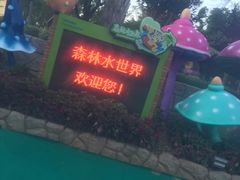-苏州乐园森林水世界