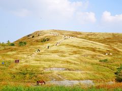 -恋山坝上草原
