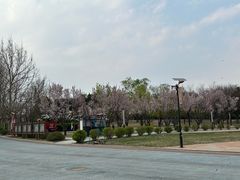 -太阳宫公园