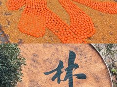 -林坑古村落
