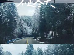 -瓦屋山景区