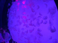 -沈阳海洋探索中心