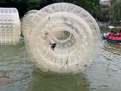 -莲湖公园