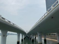 -演武大桥观景平台