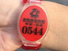 -芜湖方特东方神画