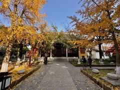 -常熟方塔园