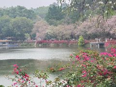 -星湖旅游景区七星岩