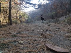 -金龙寺国家森林公园
