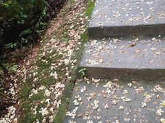 -风云岭森林公园
