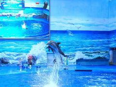 -多彩贵州城极地海洋世界