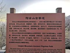 -阳台山自然风景区