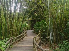 -海口火山口国家地质公园