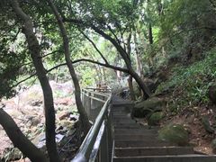 -火炉山森林公园