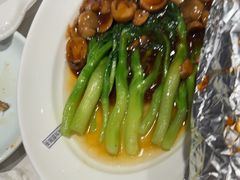 -新侨小馆(东直门北小街店)