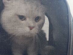 -美联众合动物医院·24h京西诊疗中心
