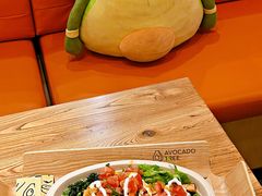 -油梨树 AVOCADO TREE(亮马桥店)