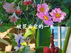 -国家植物园