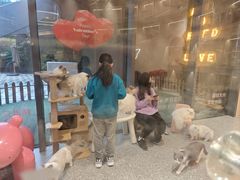 -囡的喵喵酱·萌宠生活馆·宠物洗护美容(胶州路店)