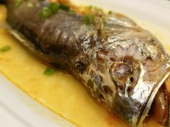 -老山东·山东菜(鲁菜名店)