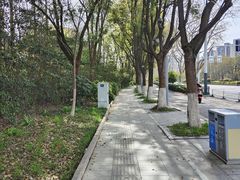 -金陵中学(河西分校)