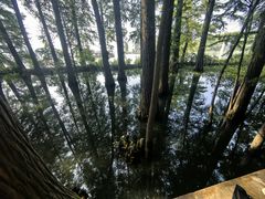 -东湖落雁景区