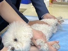-美联众合动物医院·24h转诊中心
