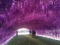 -绿野森林乐园冰雪季