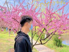 -堤角公园