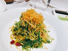 巧拌豆苗-四季民福烤鸭店(故宫店)