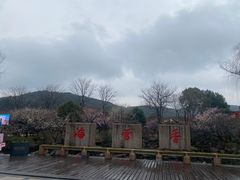 -香雪海
