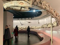 -自贡恐龙博物馆