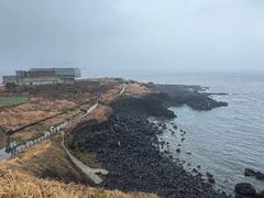 -涉地可支