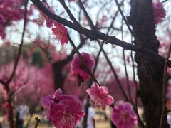 -南湖湿地公园