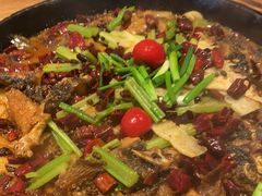 -老板恋上鱼(恒隆广场店)