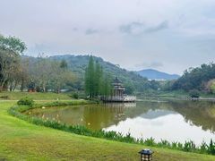 -国恩寺