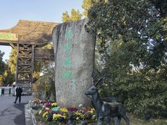 -溱湖国家湿地公园