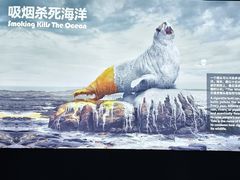 -重庆欢乐海底世界