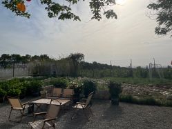 -DORA kids 朵拉儿童摄影花园店