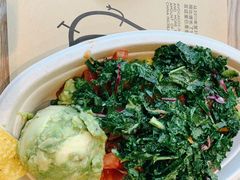 -油梨树AVOCADO TREE(望京店)