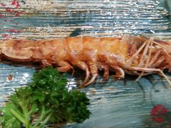-红叶日料·放题·海胆·定食(星海店)